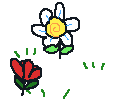 Drawing of some flowers